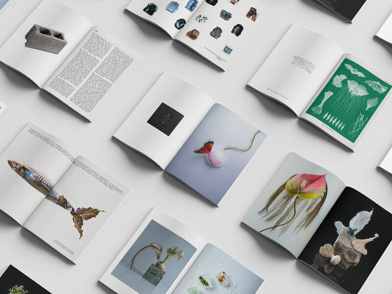 Bachelor’s Degree in Fashion Marketing and Communication - IED